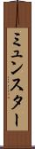 ミュンスター Scroll