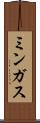 ミンガス Scroll
