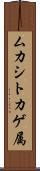 ムカシトカゲ属 Scroll