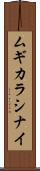 ムギカラシナイ Scroll