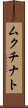 ムクチナト Scroll