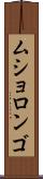 ムショロンゴ Scroll