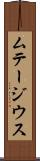 ムテージウス Scroll