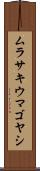 ムラサキウマゴヤシ Scroll