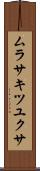 ムラサキツユクサ Scroll