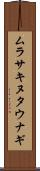 ムラサキヌタウナギ Scroll