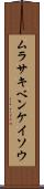 ムラサキベンケイソウ Scroll