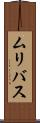 ムリバス Scroll