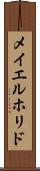 メイエルホリド Scroll