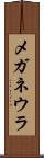 メガネウラ Scroll