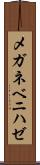 メガネベニハゼ Scroll