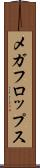 メガフロップス Scroll