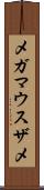 メガマウスザメ Scroll