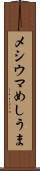 メシウマ Scroll
