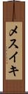 メスイキ Scroll