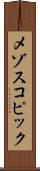メゾスコピック Scroll