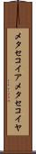 メタセコイア Scroll