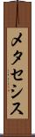 メタセシス Scroll