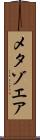 メタゾエア Scroll