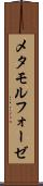 メタモルフォーゼ Scroll