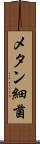 メタン細菌 Scroll