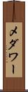 メダワー Scroll