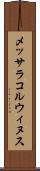 メッサラコルウィヌス Scroll
