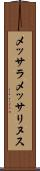 メッサラメッサリヌス Scroll