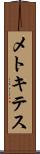 メトキテス Scroll