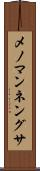 メノマンネングサ Scroll