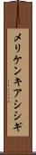 メリケンキアシシギ Scroll
