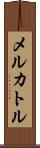 メルカトル Scroll