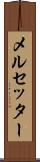 メルセッター Scroll