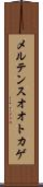 メルテンスオオトカゲ Scroll