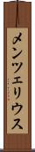 メンツェリウス Scroll