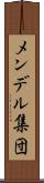 メンデル集団 Scroll