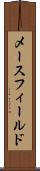 メースフィールド Scroll