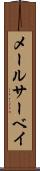 メールサーベイ Scroll