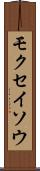 モクセイソウ Scroll