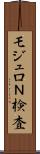 モジュロＮ検査 Scroll