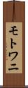 モトワニ Scroll