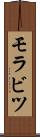 モラビツ Scroll