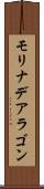 モリナデアラゴン Scroll