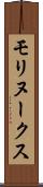 モリヌークス Scroll