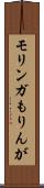モリンガ Scroll