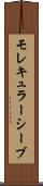 モレキュラーシーブ Scroll