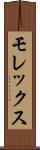 モレックス Scroll