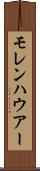 モレンハウアー Scroll