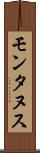 モンタヌス Scroll