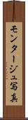 モンタージュ写真 Scroll